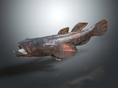 Distinctive Dark Spotted Fish With Open Mouth And Visible Fins On Gray Background 3d model