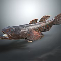 Distinctive Dark Spotted Fish With Open Mouth And Visible Fins On Gray Background