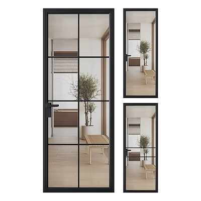 Minimalist Black Framed Glass Hinged Door In Modern Interior With Wooden Floor And Plant 3d model