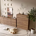 Modern Entryway Interior With Wooden Console And Side Cabinets Decorative Plants