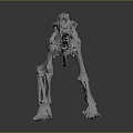 Highly Detailed 3D Rendered Cat Skeleton Anatomical Structure Model
