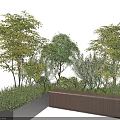 Various Green and Yellow Leaf Shrubs in Concrete and Wooden Garden Planters