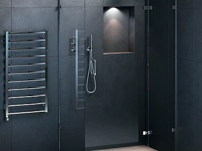 Modern Black Bathroom Shower Room with Glass Door Chrome Towel Rack and Wall Niche 3d model
