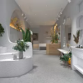 Modern Boutique Interior Design With White Textured Walls Arched Niches And Green Plants