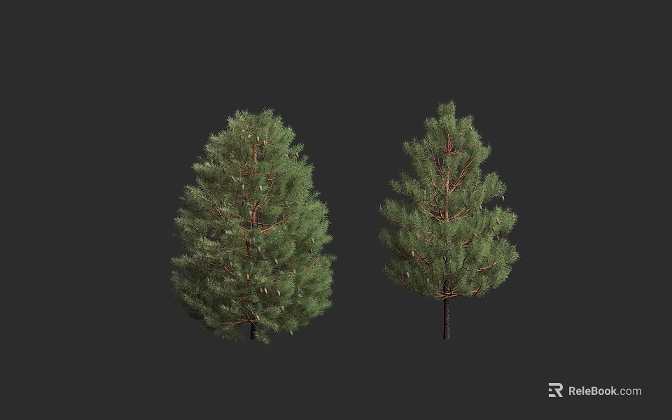 Two Pine Trees with Dense Green Foliage and Tall Trunk Structure 3d model
