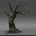 Bare Stone Wood Tree With Rough Trunk Exposed Roots And Natural Texture 3d model