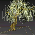 Ornamental Arbor With Drooping Silver Blue Leaves And Dark Trunk On White Platform