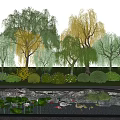 Deciduous Trees With Green Yellow Foliage By Pond With Water Lilies And Ducks
