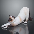 Siamese cat figurine stretching body lying on smooth black surface with reflection 3d model