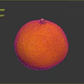 Fresh Ripe Orange With Vibrant Color And Smooth Skin For Daily Use