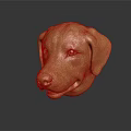 Golden Shiny Dog Head Sculpture With Detailed Features And Reflective Surface
