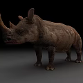 Horned Reptile With Rough Skin Standing On Gray Surface In Studio Light
