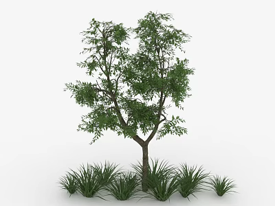 Lush Green Tree With Dense Foliage Brown Trunk And Surrounding Grass Plants 3d model