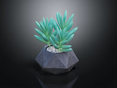 Green Succulent Plant in Geometric Gray Pot with Small Pebbles on Black Background 3d model