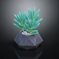 Green Succulent Plant in Geometric Gray Pot with Small Pebbles on Black Background