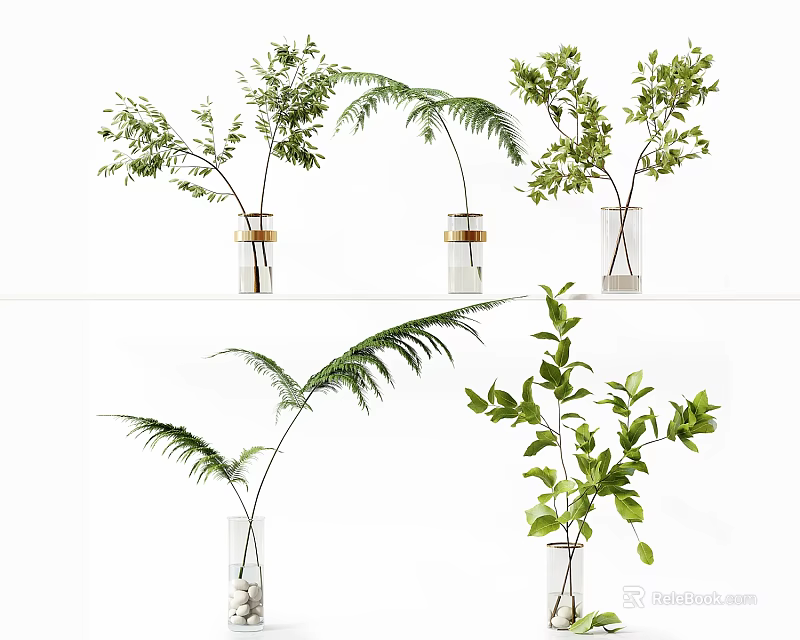 Elegant Clear Glass Vases With Green Ferns And Leafy Plants Decorative Arrangement 3d model 