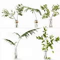 Elegant Clear Glass Vases With Green Ferns And Leafy Plants Decorative Arrangement