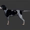 Black And White Spotted Dog Standing On Dark Surface With Reflection 3d model