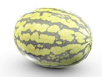 Modern Watermelon 3d model