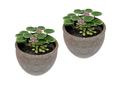 Decorative Ornament Set with Pink Lotus Flowers and Green Lily Pads in Woven Texture Pots 3d model