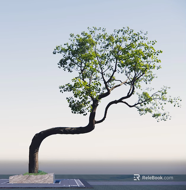 Graceful Curved Trunk Arbor With Lush Green Leaves Against Light Blue Sky 3d model 