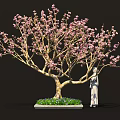 Elegant Bonsai Tree With Pink Flowers Green Grass And Purple Small Flowers