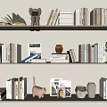 Books and Magazines Arranged on Shelves with Decorative Toy Vase and Potted Plant