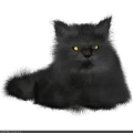 Fluffy Black Cat Plush Doll With Bright Yellow Eyes And Soft Fur Texture