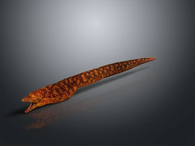 Long Brown Patterned Animal With Large Head Open Mouth Gray Gradient Background Highlighted Prehistoric Reptile 3d model