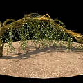 Natural Root Arch With Hanging Green Vines On Gravel Ground For Garden Decor