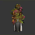 Sculpted Ceramic Vases With Colorful Flowers Arranged In A Row On Gray Background With Reflection