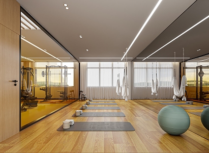 Yoga Room 3d model