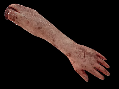 Realistic Arm Organ Model With Wounds Bloodstains Skin Hair And Textural Details 3d model