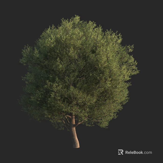 Lush Arbor Tree With Dense Green Foliage And Brown Trunk On Black Backdrop 3d model