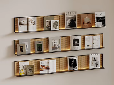 Modern Wall Mounted Shelves With Arranged Magazines And Books For Home Interior 3d model
