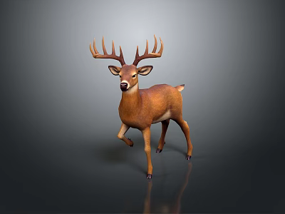 Brown Deer With Large Antlers Standing On Simple Gray Background 3d model