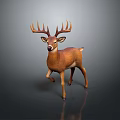 Brown Deer With Large Antlers Standing On Simple Gray Background