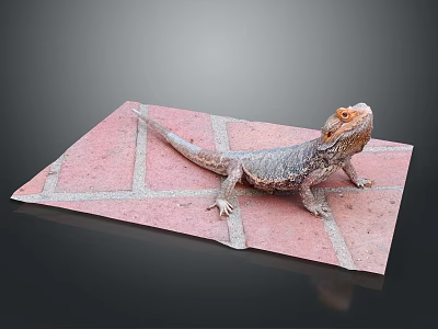 Bearded Dragon Standing On Red Brick Surface With Gray Grout Lines 3d model