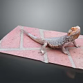 Bearded Dragon Standing On Red Brick Surface With Gray Grout Lines 3d model