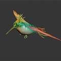 Modern Bird Red-throated Hummingbird Hummingbird Birds 3d model