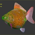 Vibrant Orange Spotted Round Fish With Bulbous Body And White Spots