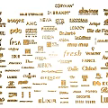 Golden Collection of Various Brand Logos with Different Company Symbols Arranged Together