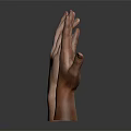 Detailed Hand Organ 3D Model Showing Anatomical Structure And Skin Texture Features
