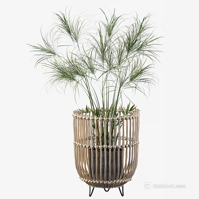 Potted Plant with Long Slender Green Leaves in Woven Rattan Basket for Natural Home Decor 3d model 