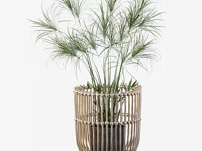 Potted Plant with Long Slender Green Leaves in Woven Rattan Basket for Natural Home Decor 3d model