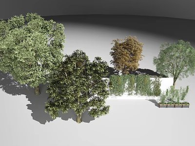 Different Arbor Trees With Green and Brown Foliage White Low Wall Hedge and Planter Boxes 3d model