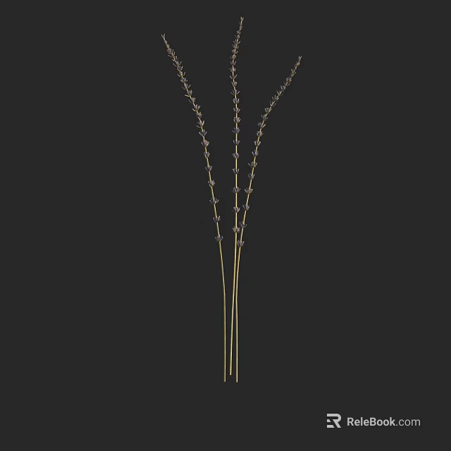 Elegant Purple Flowers with Slender Green Stems Against Black Background Decor 3d model 