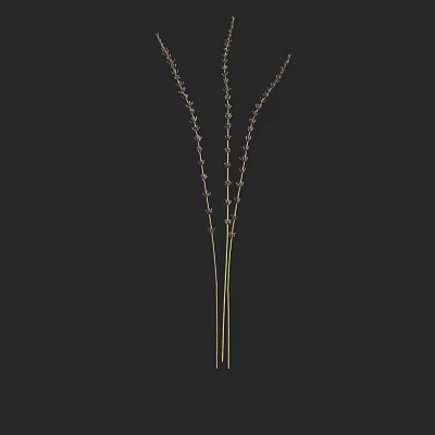 Elegant Purple Flowers with Slender Green Stems Against Black Background Decor 3d model