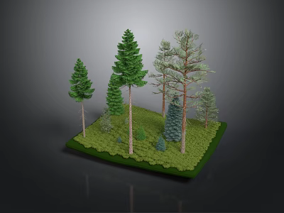 Realistic Forest Model Display With Various Evergreen Trees And Green Grass 3d model