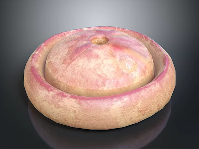 Handcrafted Clay Circular Bowl With Small Top Hole And Pink Beige Textured Surface 3d model